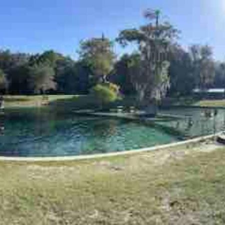 The Botanical Retreat, King Comfort & Poolside Peace Gainesville Exteriér fotografie
